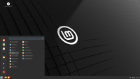 Bootfähiger 8GB USB Stick mit Linux Mint 22.1 |...